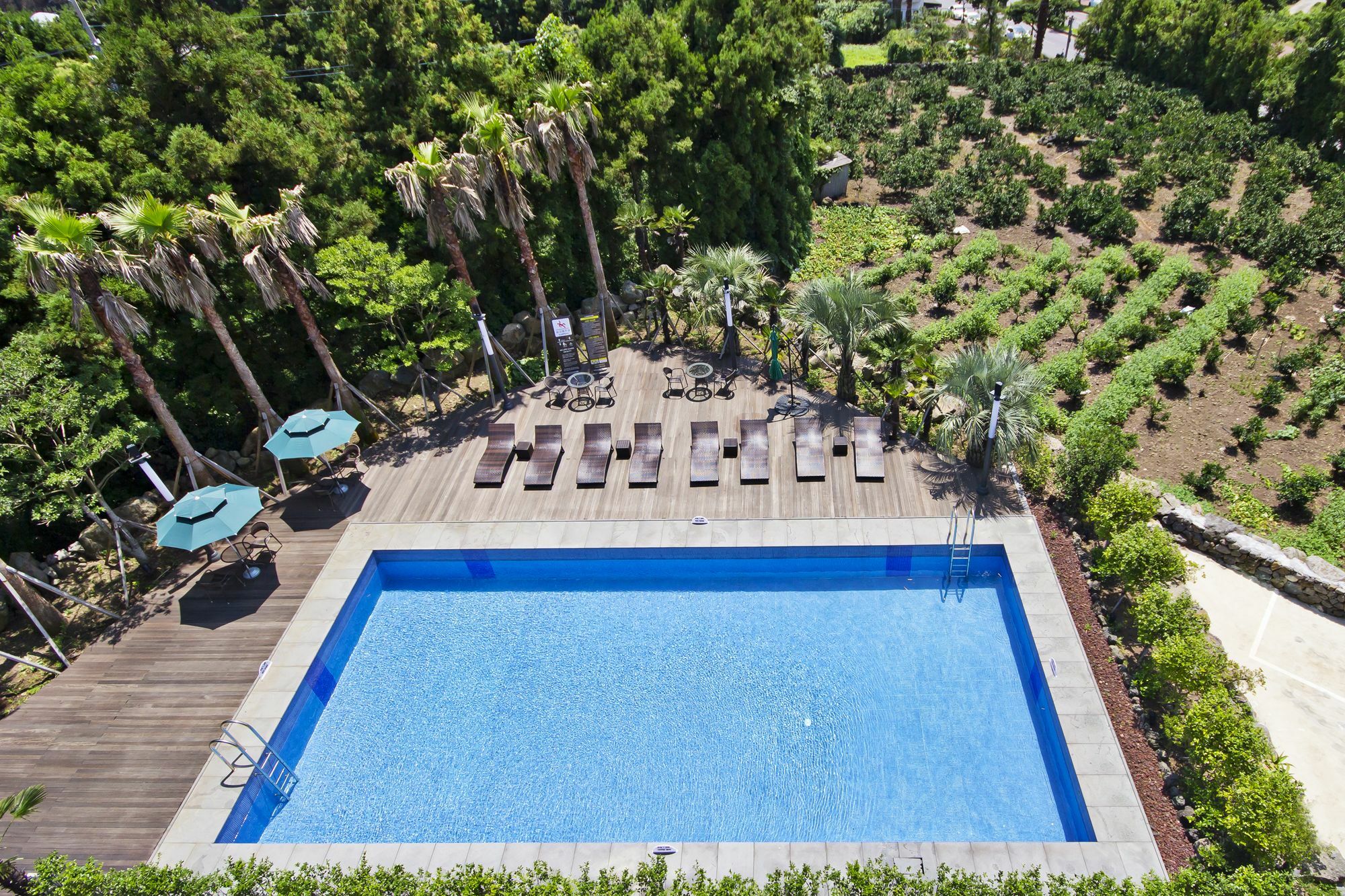 Sunrise Hotel Jungmun Branch Szogüpho Kültér fotó